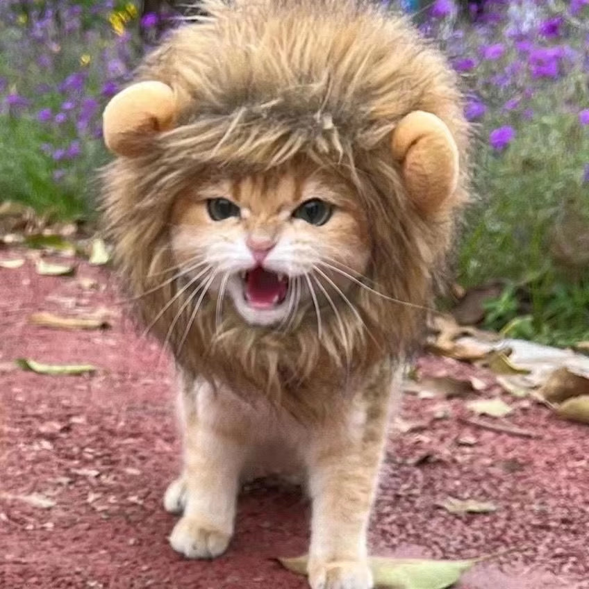 Adorable Pet Costume: Cat Wig Lion Mane Hat with Ears for Dogs and Cats - Perfect for Parties and Cosplay