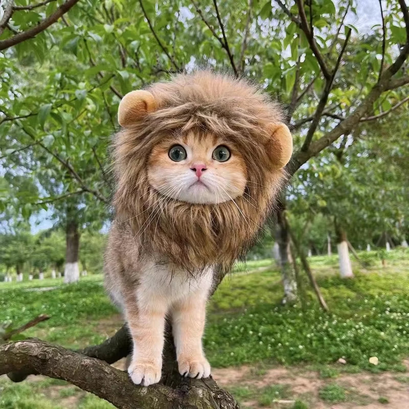 Adorable Pet Costume: Cat Wig Lion Mane Hat with Ears for Dogs and Cats - Perfect for Parties and Cosplay