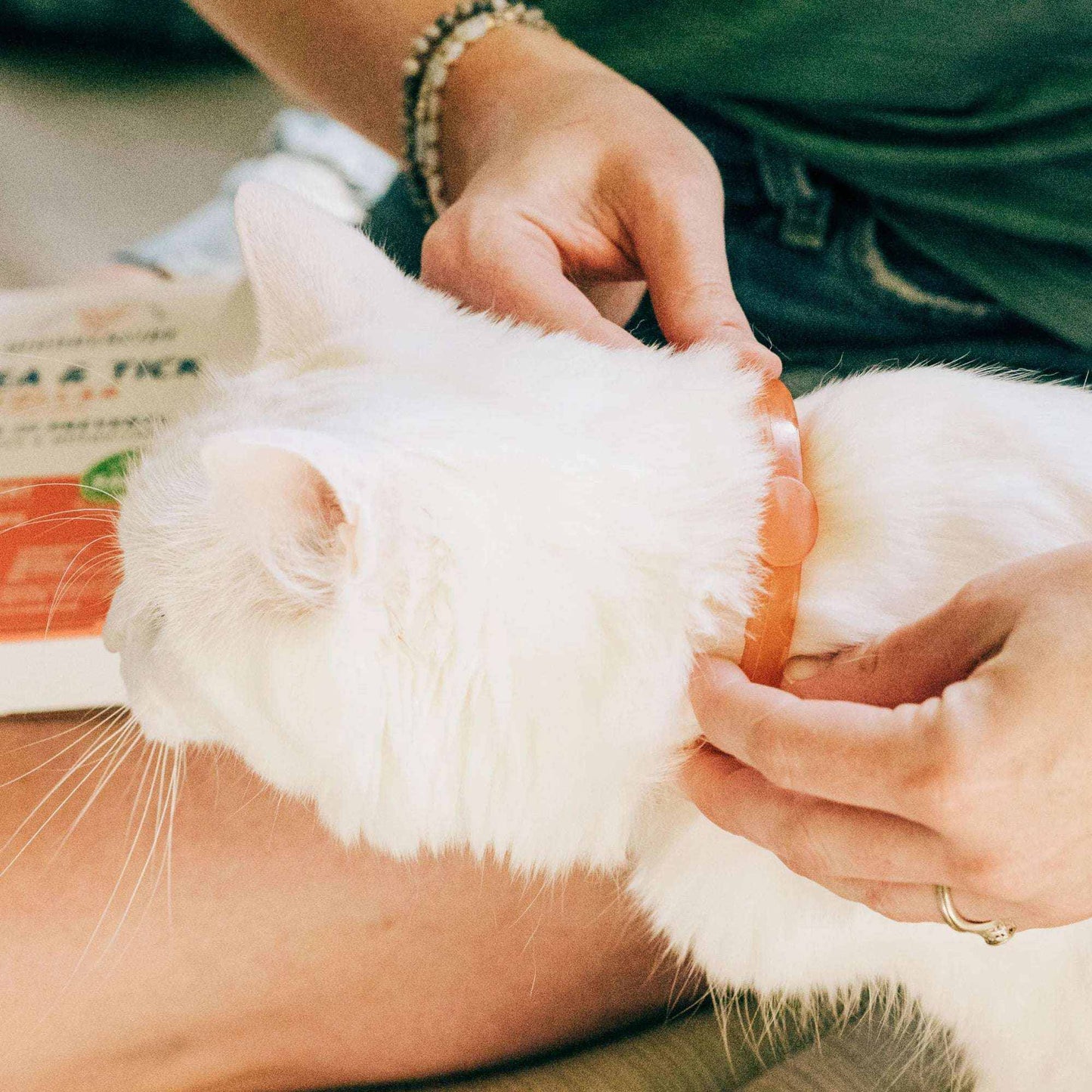 Natural peppermint flea and tick collar for cats.
