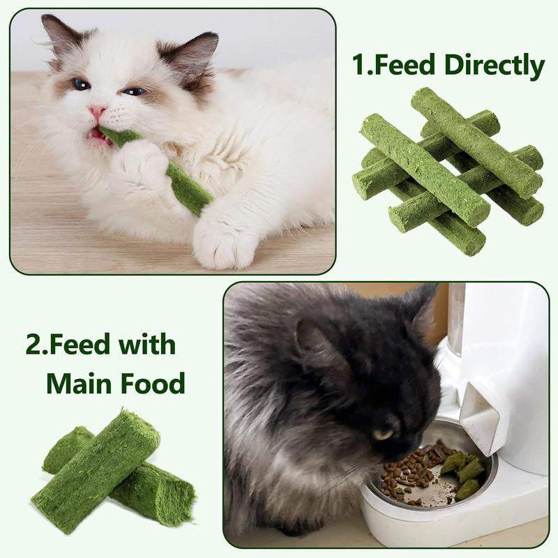Cat enjoying PurrWell™ Cat Grass Tyggepinner with chicken and herbs; promotes dental health and reduces hairballs.