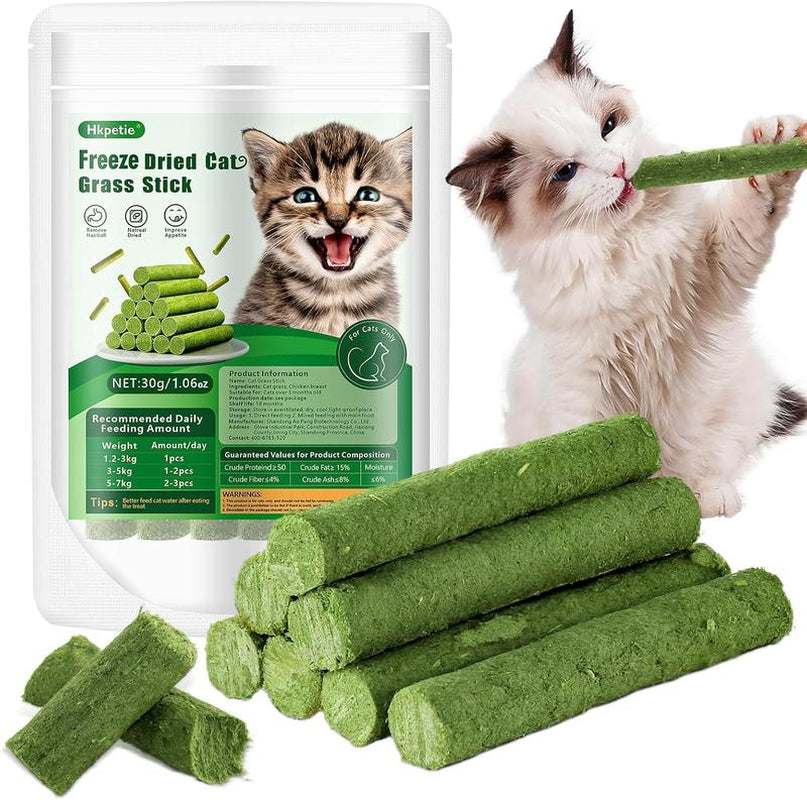 Cat enjoying PurrWell™ Cat Grass Teething Stick with chicken and herbs.