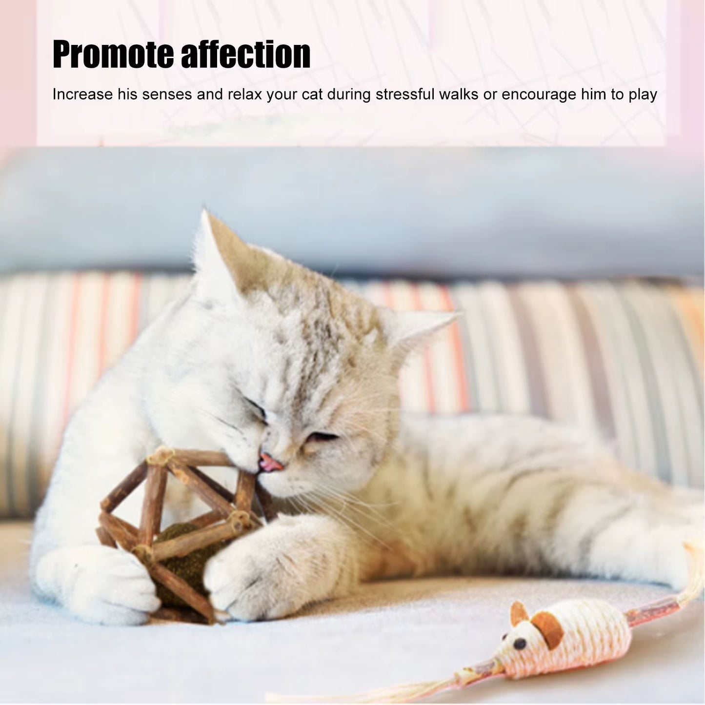 Catnip-Infused Wooden Ball and Silvervine Stick for Dental Health and Appetite Enhancement in Cats and Kittens