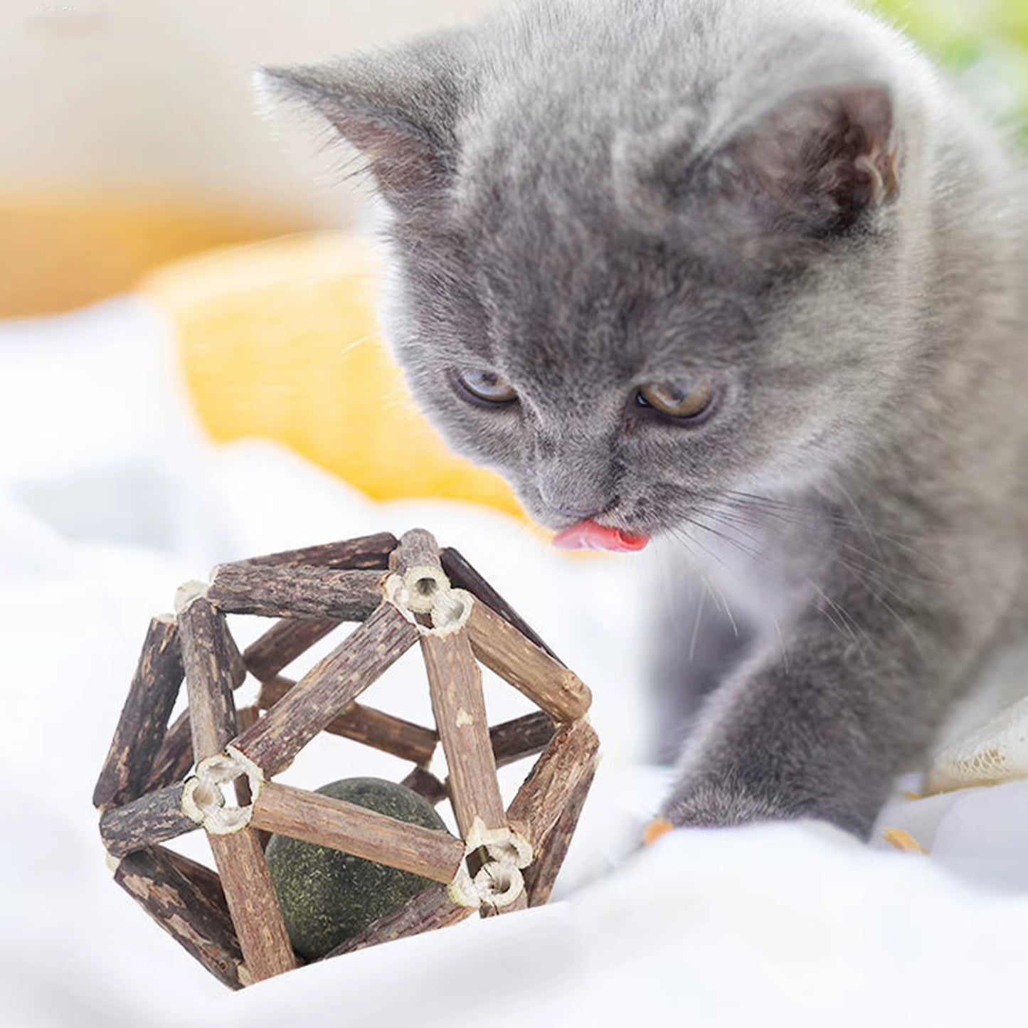 Catnip-Infused Wooden Ball and Silvervine Stick for Dental Health and Appetite Enhancement in Cats and Kittens
