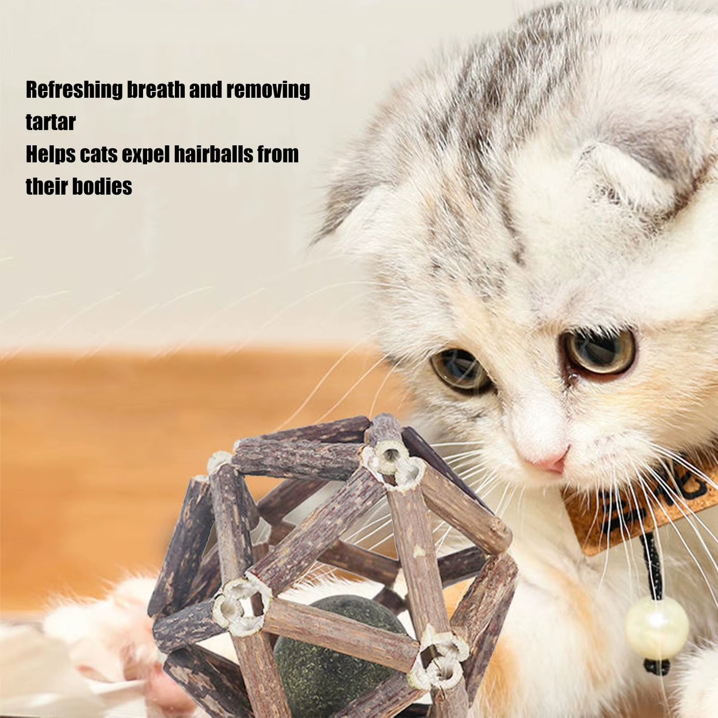 Catnip-Infused Wooden Ball and Silvervine Stick for Dental Health and Appetite Enhancement in Cats and Kittens