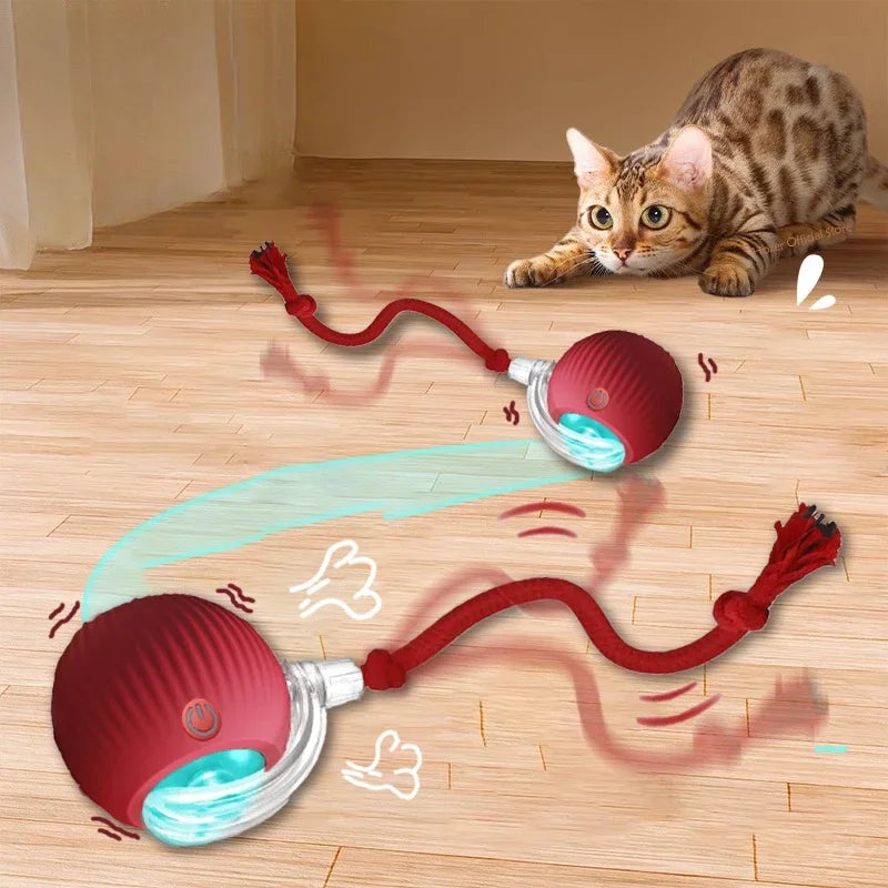 Electric cat ball toy automatically rolling with a curious cat nearby.