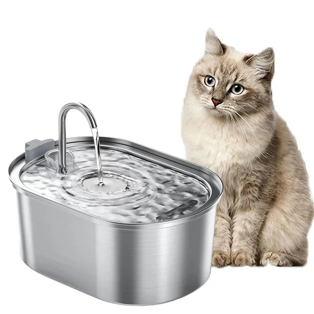 3.2L Smart Cat Water Fountain with stainless steel, quiet pump, and cat nearby.