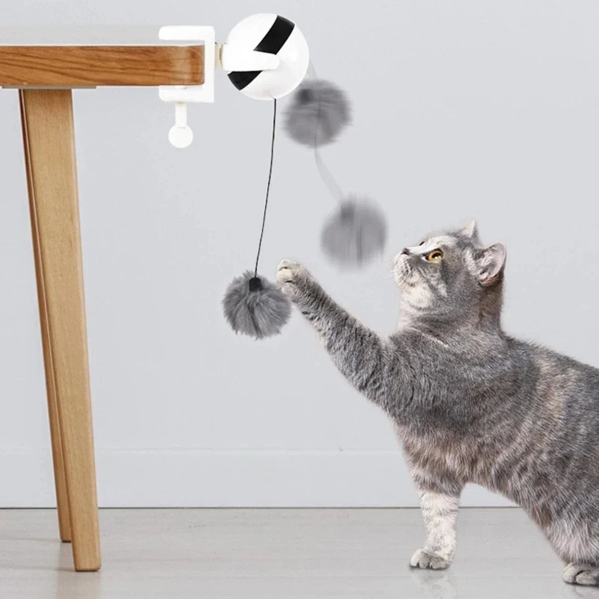 Electric lifting cat toy ball in motion with playful cat engaging, attached to table.