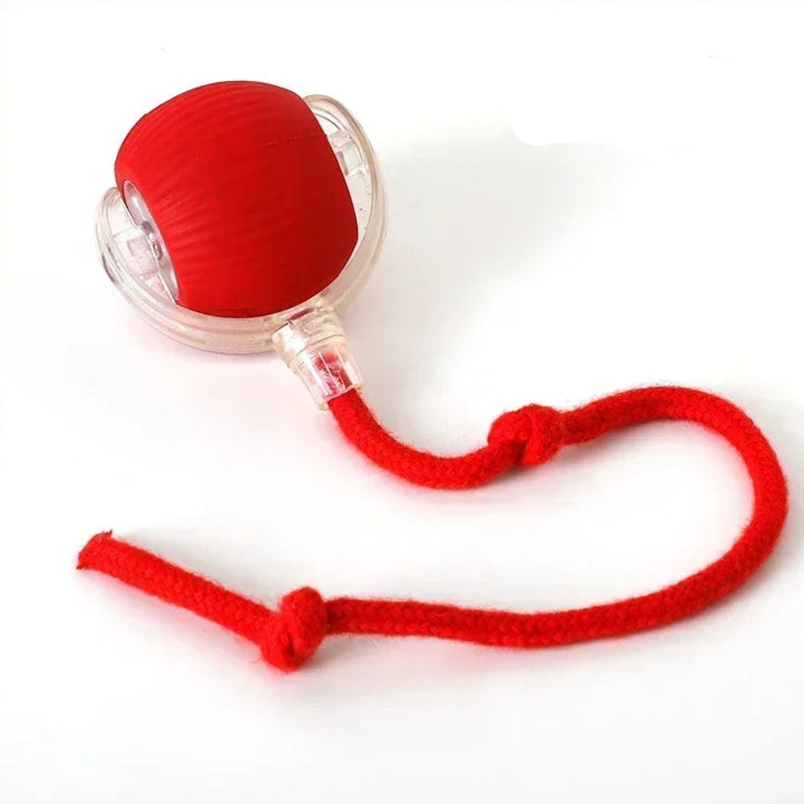 Electric Cat Ball Toys Automatic Rolling Ball