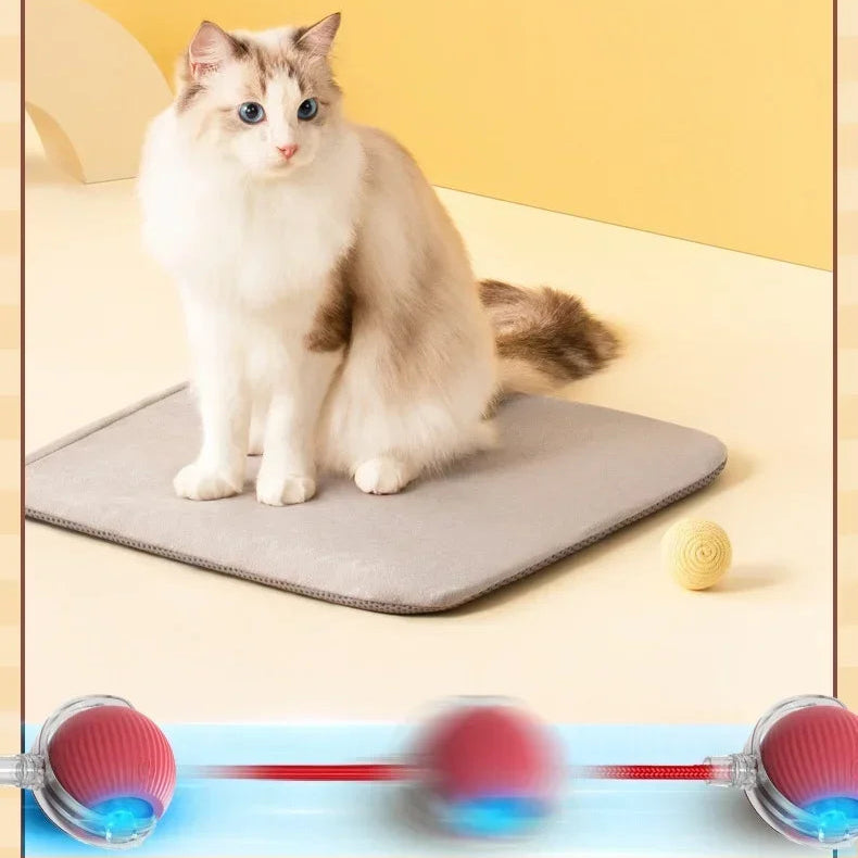 Electric Cat Ball Toys Automatic Rolling Ball