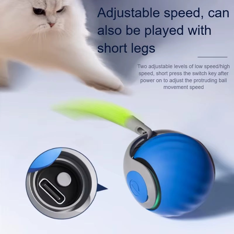 Interactive Automatic Rolling Ball Toy for Cats with Faux Tail, USB Rechargeable Smart Electric Teaser and Training Device