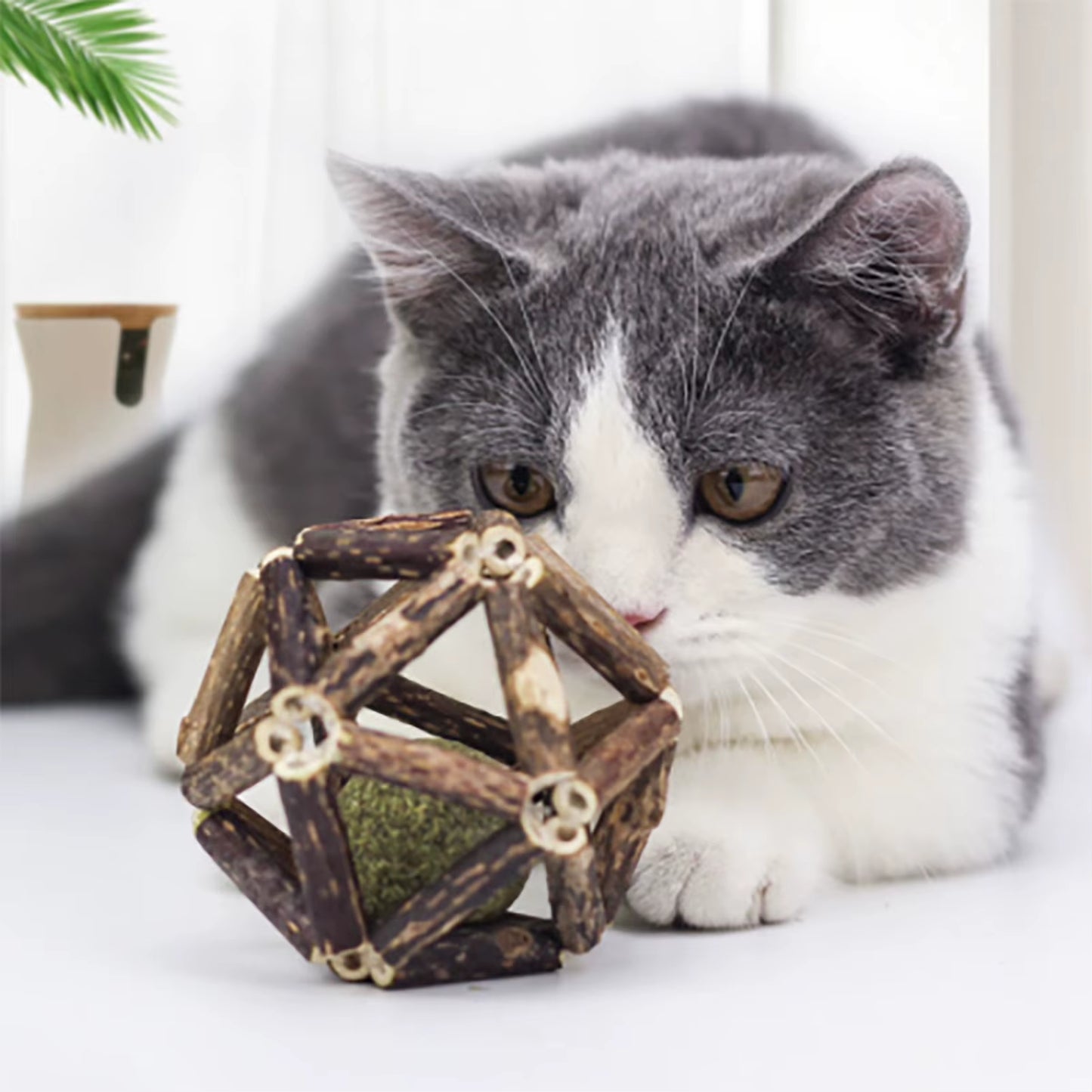 Catnip-Infused Wooden Ball and Silvervine Stick for Dental Health and Appetite Enhancement in Cats and Kittens