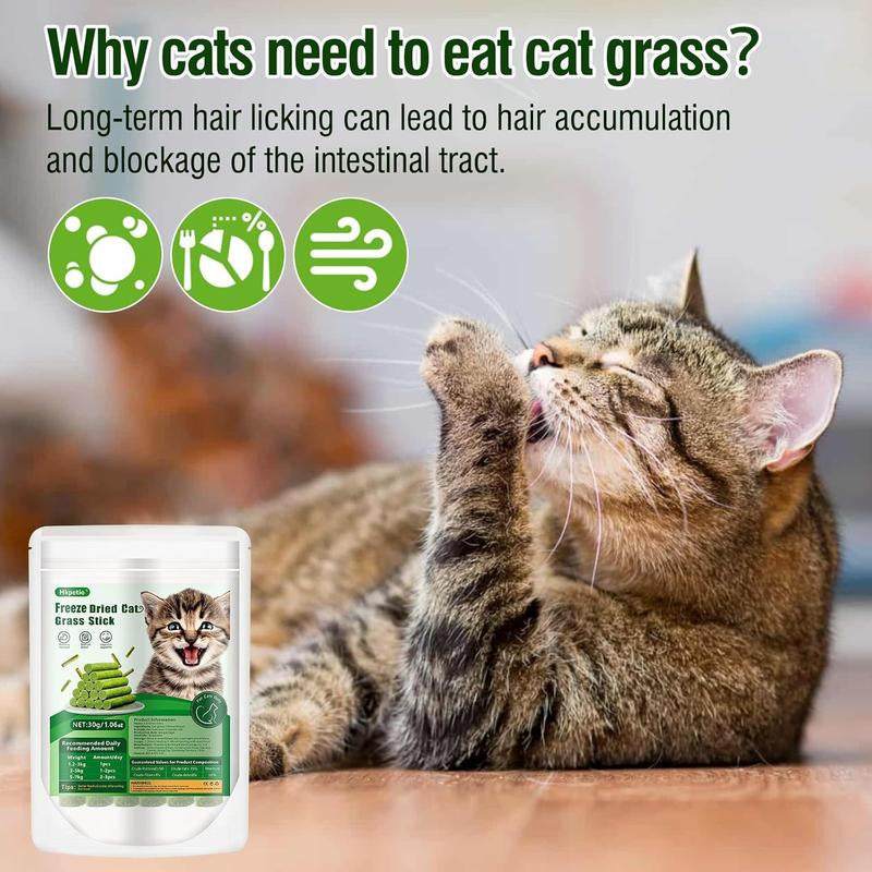 Cat enjoying PurrWell™ Cat Grass Tyggepinner with chicken and natural herbs.