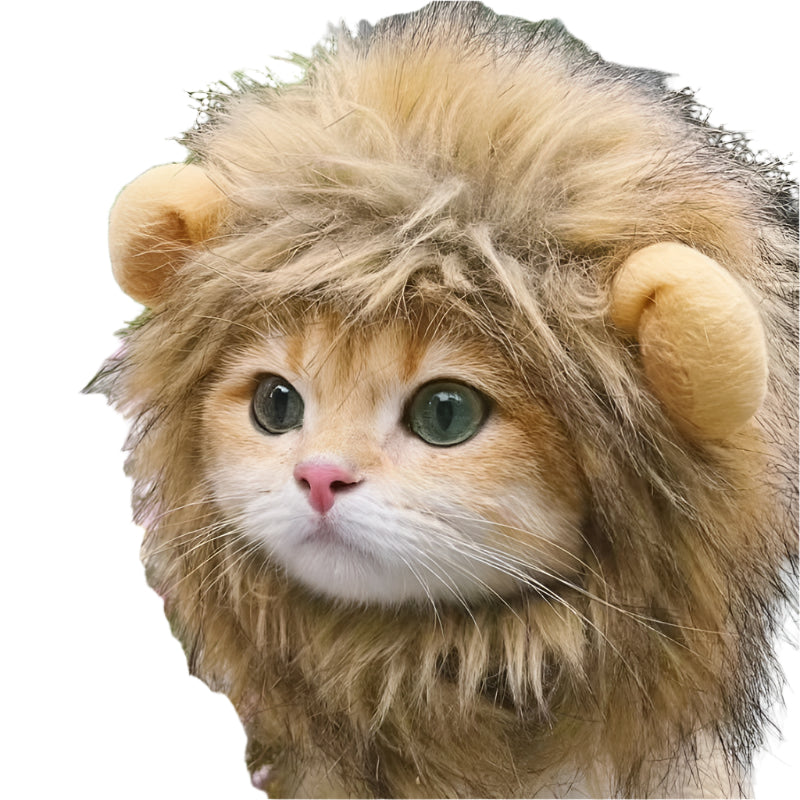 Cat wearing a handmade lion mane wig for a fun and realistic costume look.