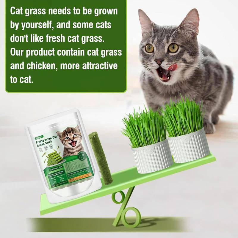 Cat enjoying PurrWell™ Cat Grass Teething Stick with chicken, natural herbs, and benefits for dental health and well-being.