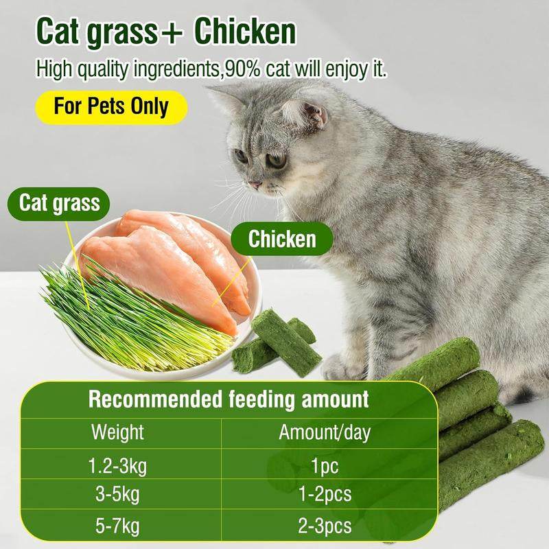 Cat exploring PurrWell™ Cat Grass Teething Sticks with chicken and natural herbs.