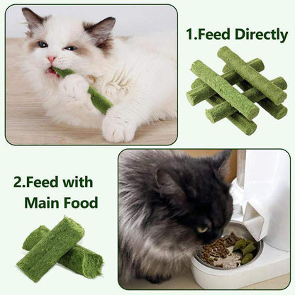 Cat enjoying PurrWell™ Cat Grass Tyggepinner with chicken and herbs; promotes dental health and reduces hairballs.