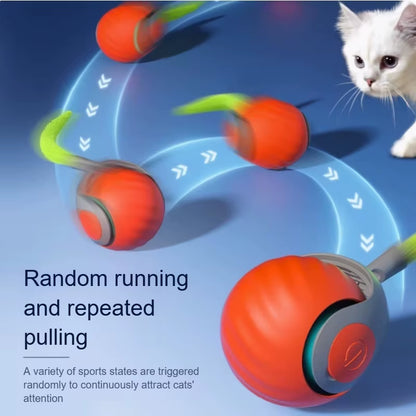Interactive Automatic Rolling Ball Toy for Cats with Faux Tail, USB Rechargeable Smart Electric Teaser and Training Device