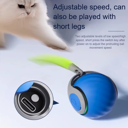 Interactive Automatic Rolling Ball Toy for Cats with Faux Tail, USB Rechargeable Smart Electric Teaser and Training Device