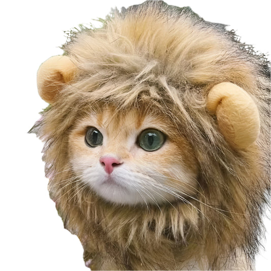 Cat wearing a handmade lion mane wig for a fun and realistic costume look.